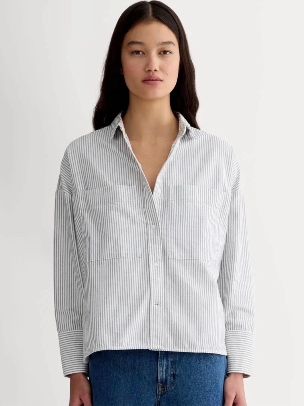 Everlane Boxy Oxford Pinstripe Button-Down Shirt